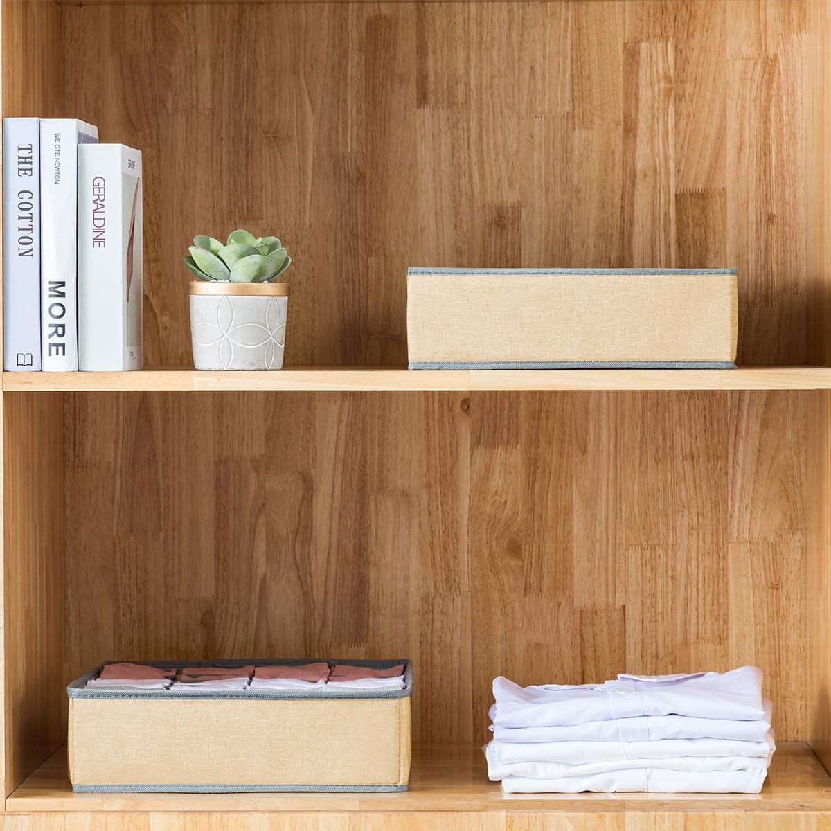 CARLA HOME Set of 2 Fabric Drawer Organizer Divider Storage Boxes for Storing Socks, Underwear, Ties, Scarves (Beige)-1978962239771774982