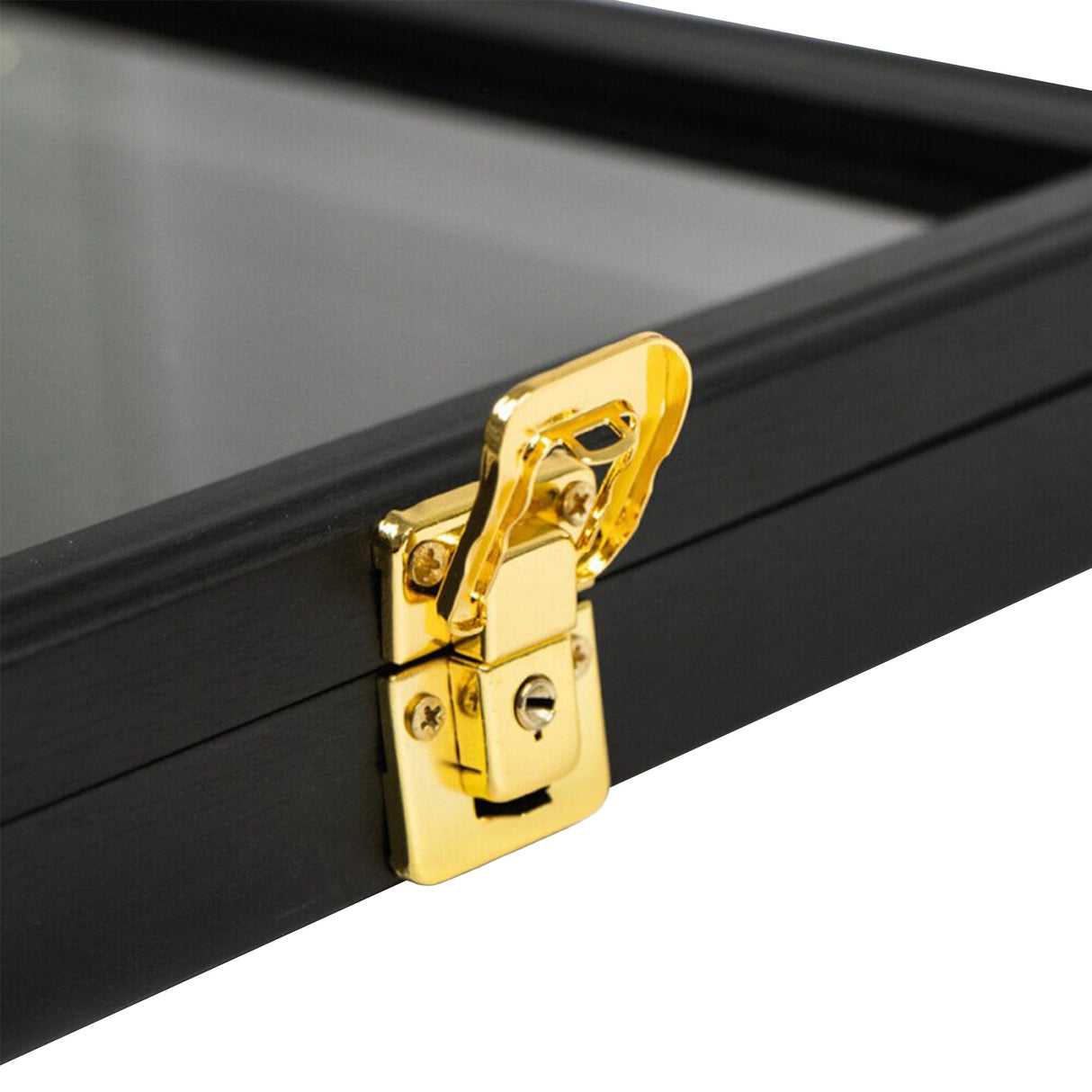 Wall Display/Case Lockable Rack 80cm Football Basketball Jersey Storage Box