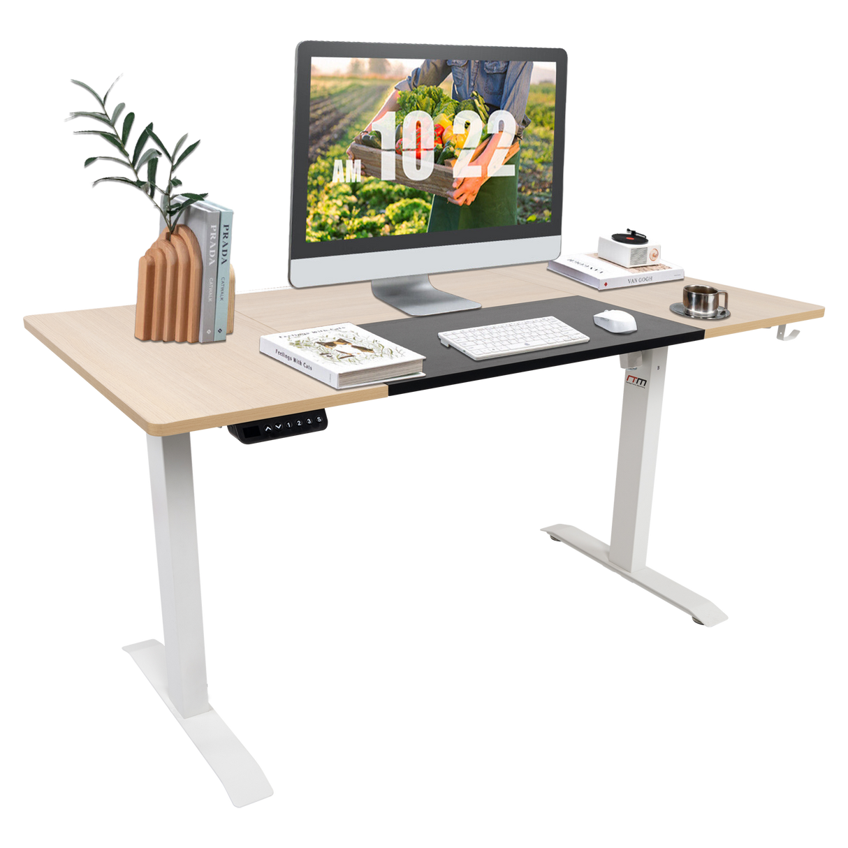 Standing Desk Electric Motorised Computer Desk Height Adjustable Sit Stand Table