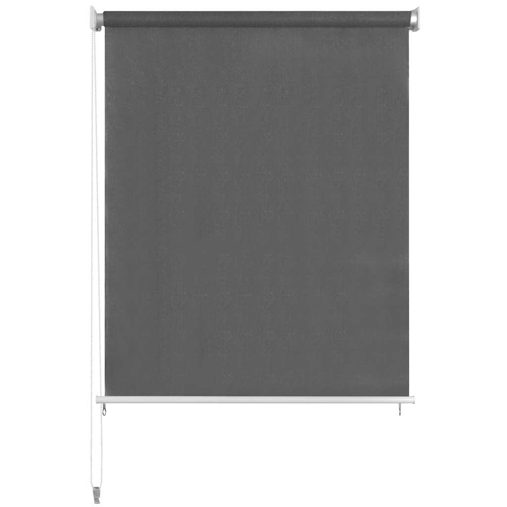 Outdoor Roller Blind 225(W)x140(H) cm Anthracite