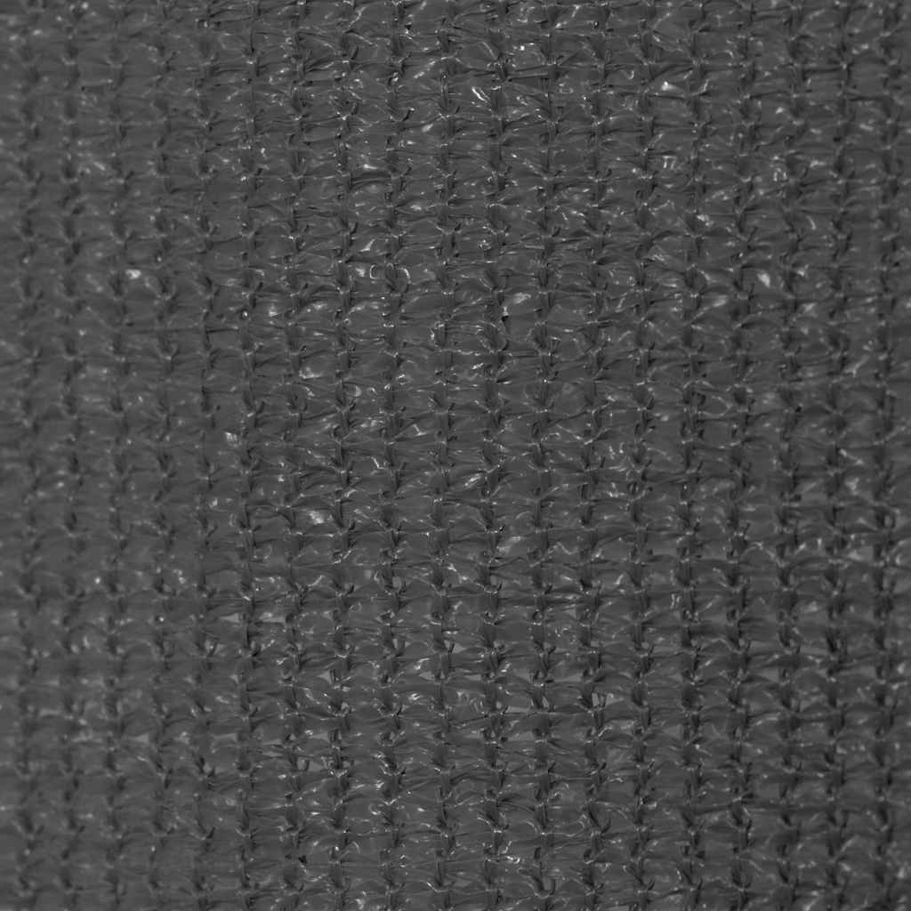Outdoor Roller Blind 225(W)x140(H) cm Anthracite