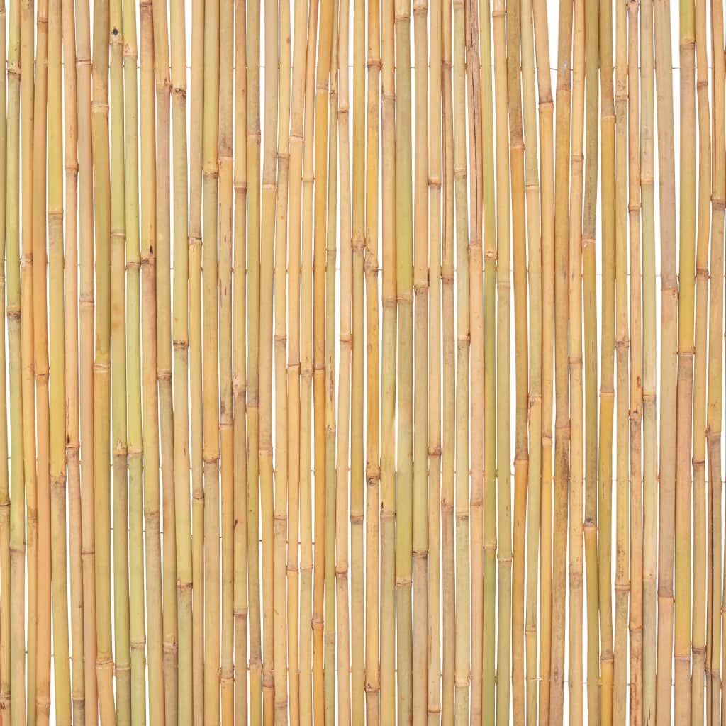 Bamboo Fence 300x100 cm