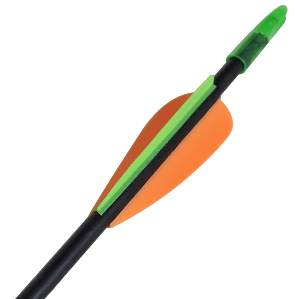 Standard Recurve Bow Arrows 30" 0.6 cm Fiberglass 12 pcs