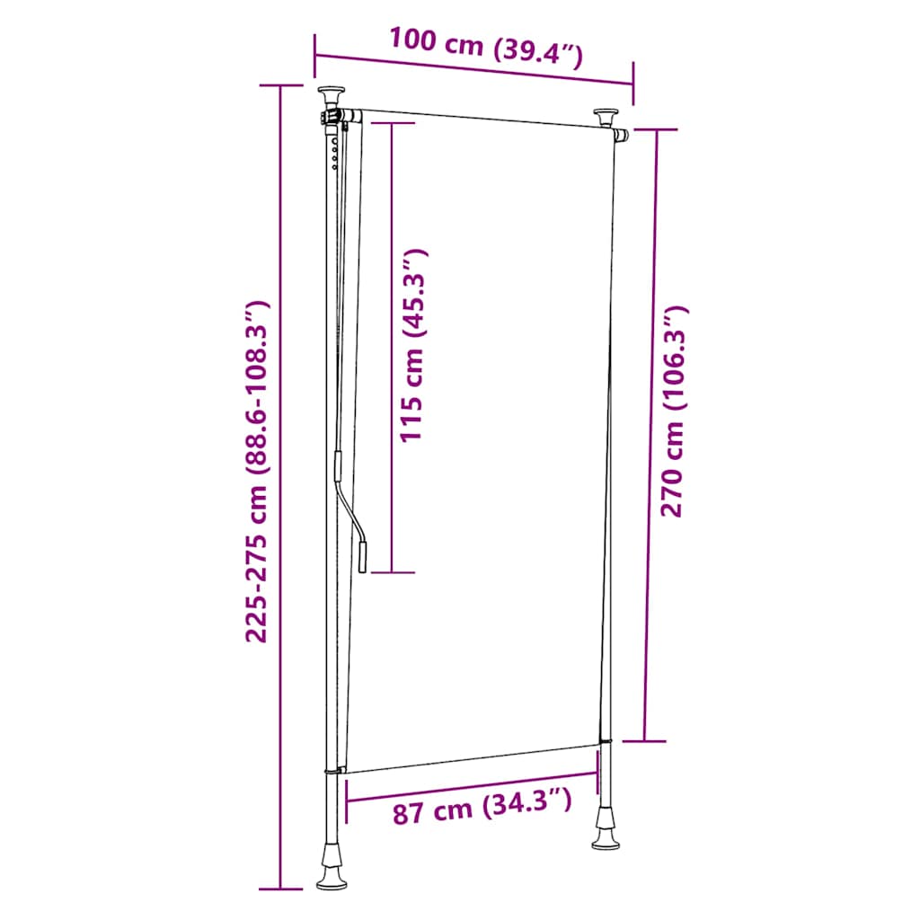 Outdoor Roller Blind 100x270 cm Anthracite