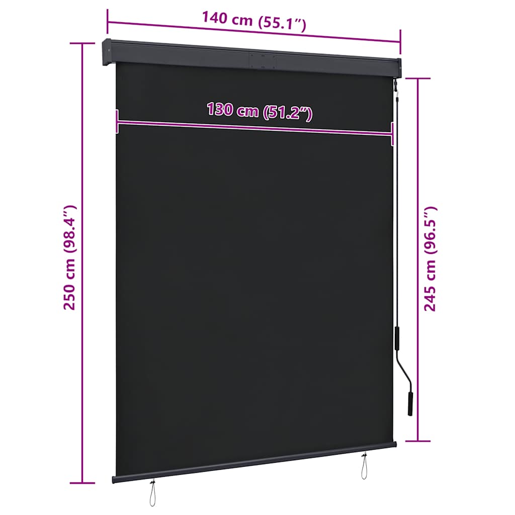 Outdoor Roller Blind 140x250 cm Anthracite