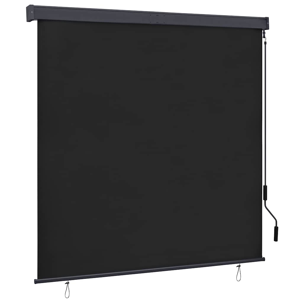 Outdoor Roller Blind 160x250 cm Anthracite