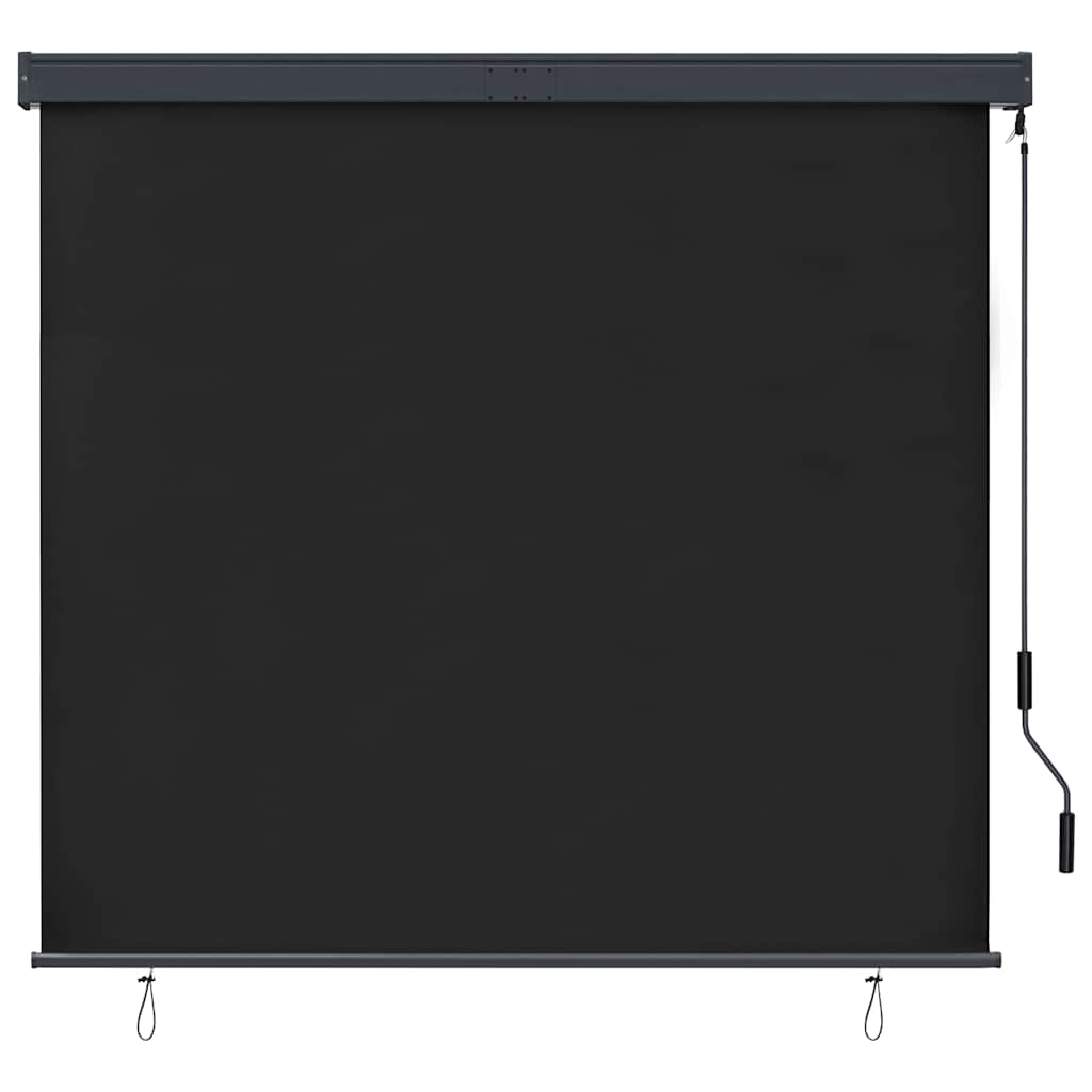 Outdoor Roller Blind 160x250 cm Anthracite