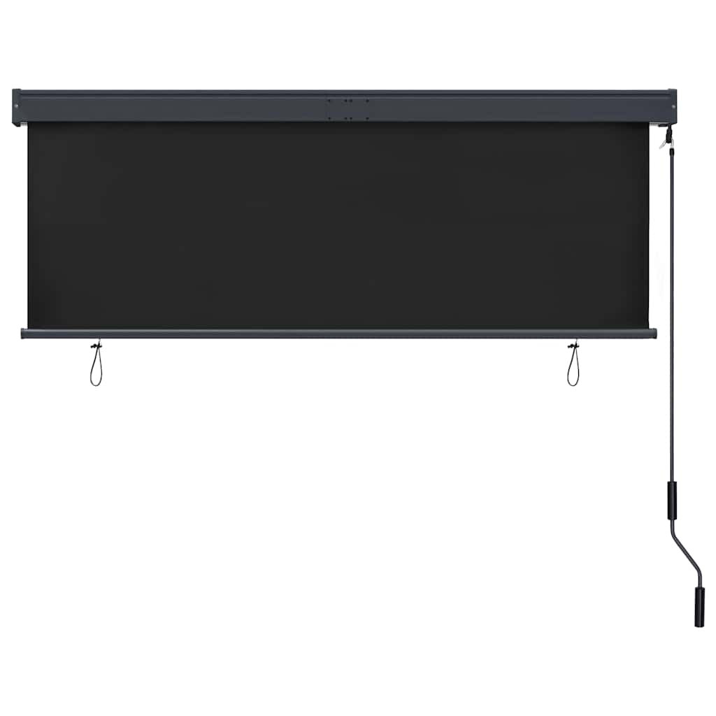 Outdoor Roller Blind 160x250 cm Anthracite