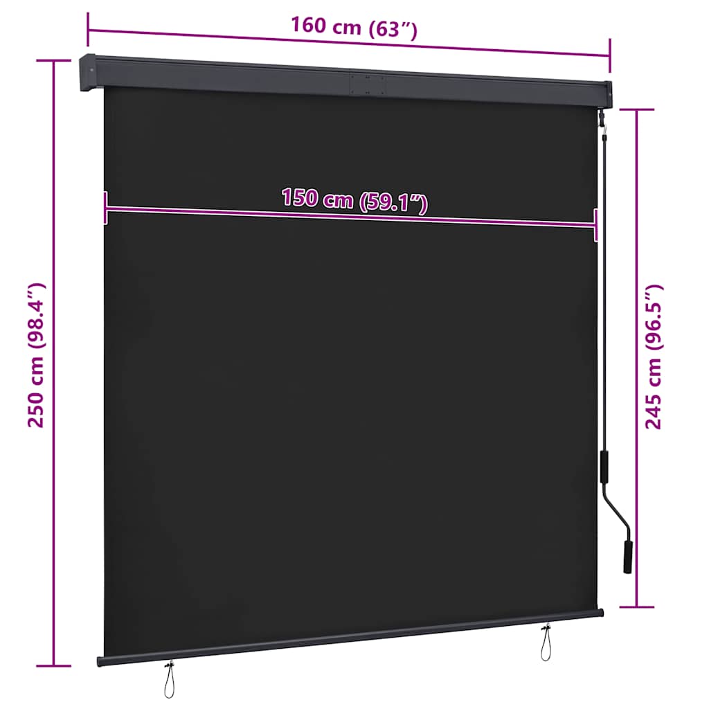 Outdoor Roller Blind 160x250 cm Anthracite