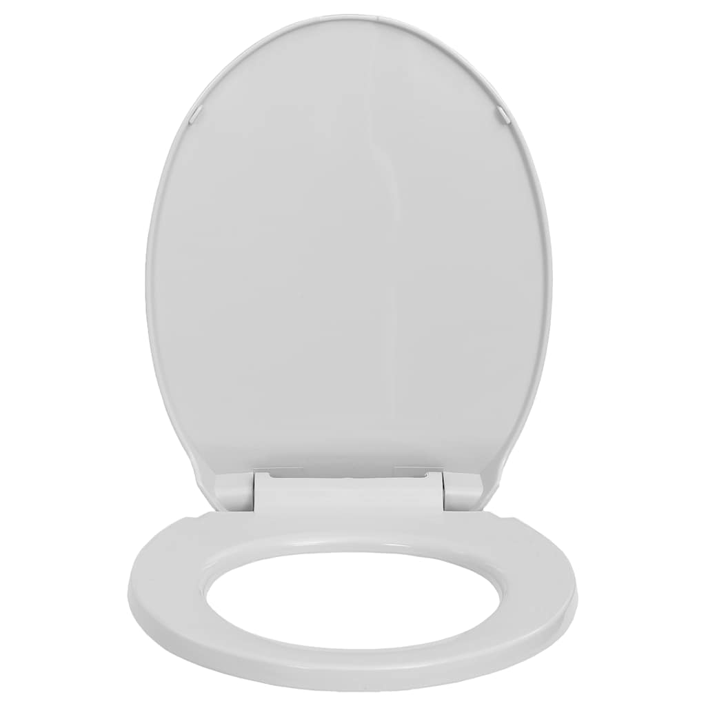 Soft-Close Toilet Seat Light Grey Oval