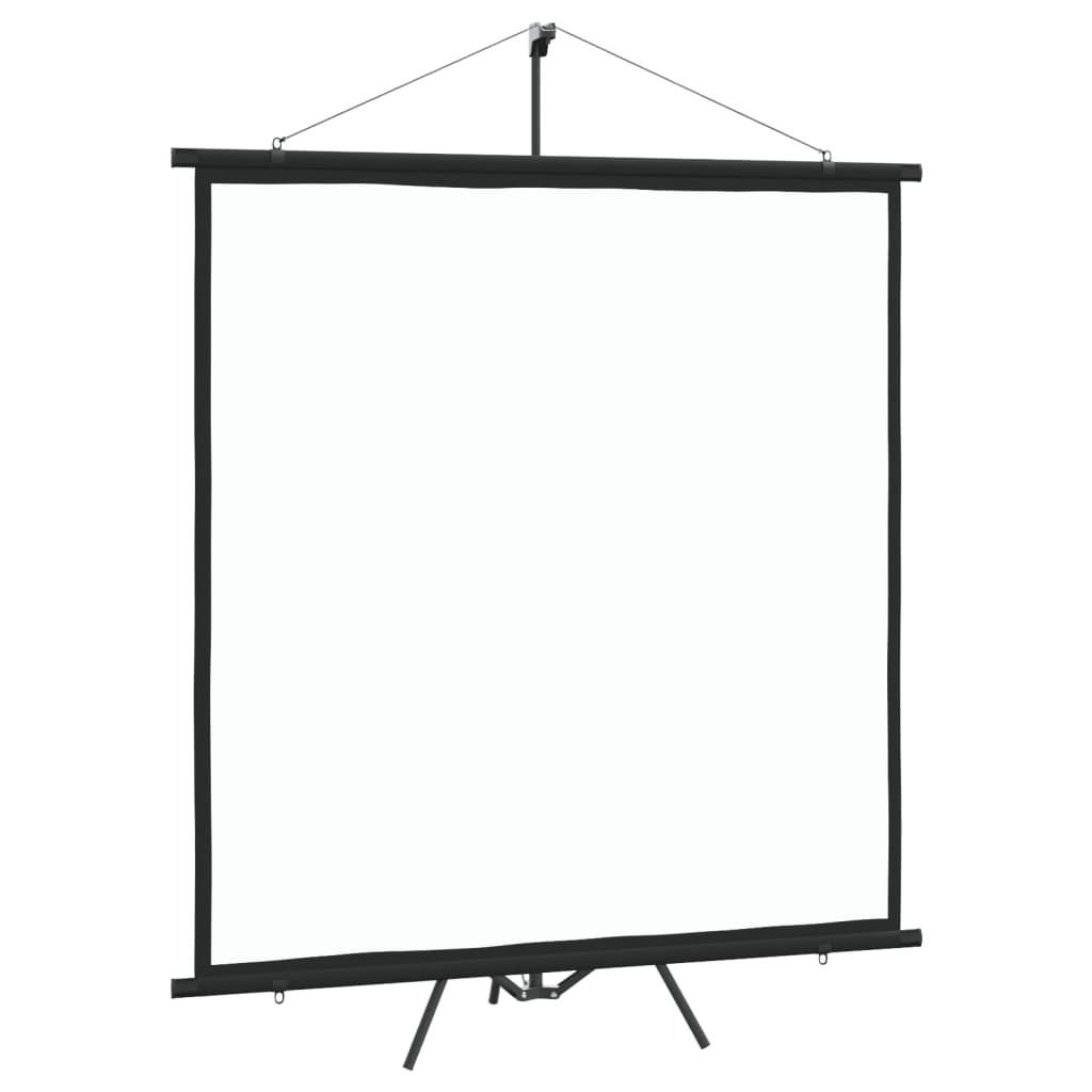 Projection Screen with Tripod 205.7 cm 1:1