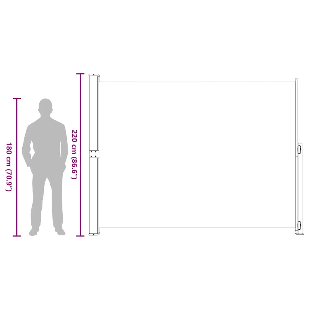 Patio Retractable Side Awning 220x300cm Black