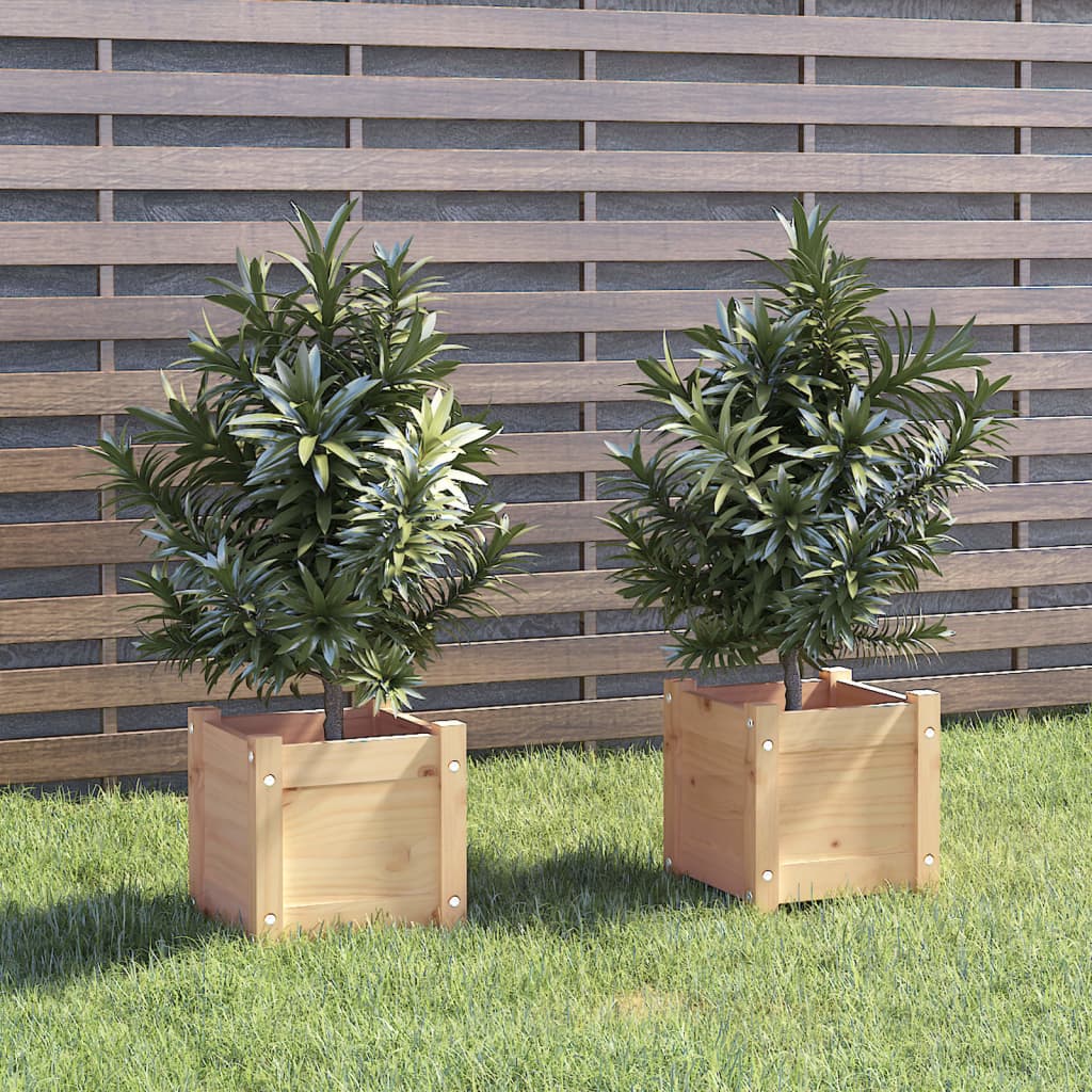 Garden Planters 2 pcs 31x31x31 cm Solid Pinewood