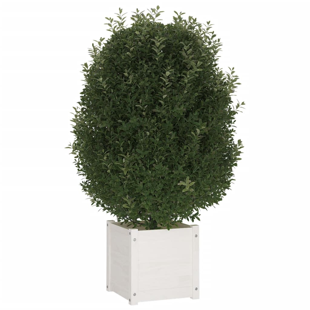 Garden Planter White 40x40x40 cm Solid Pinewood