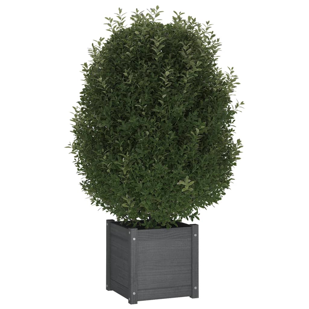 Garden Planters 2 pcs Grey 40x40x40 cm Solid Pinewood