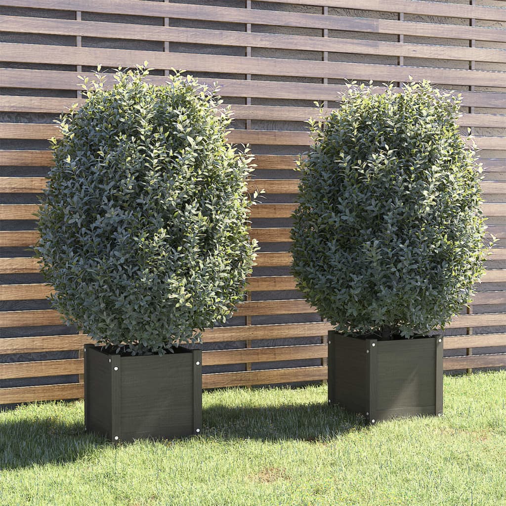 Garden Planters 2 pcs Grey 40x40x40 cm Solid Pinewood