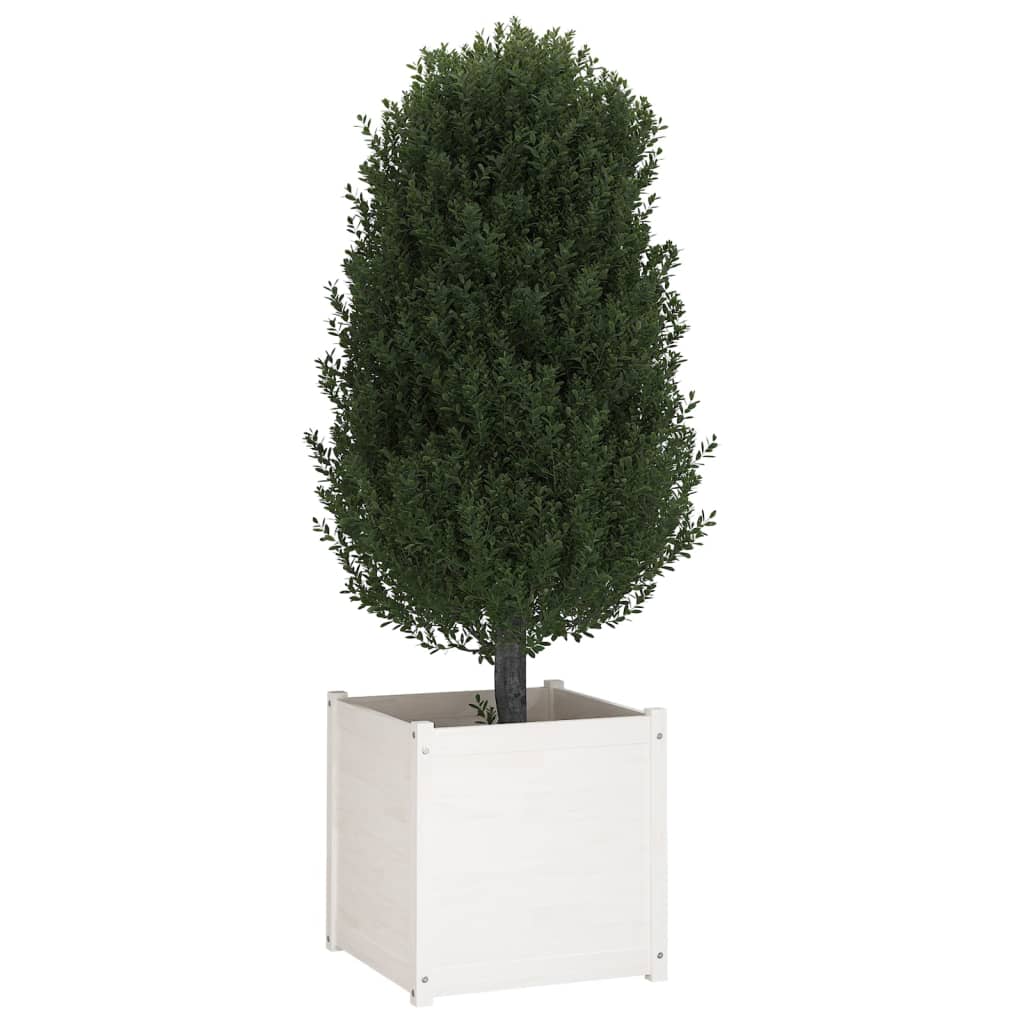 Garden Planters 2 pcs White 60x60x60 cm Solid Wood Pine