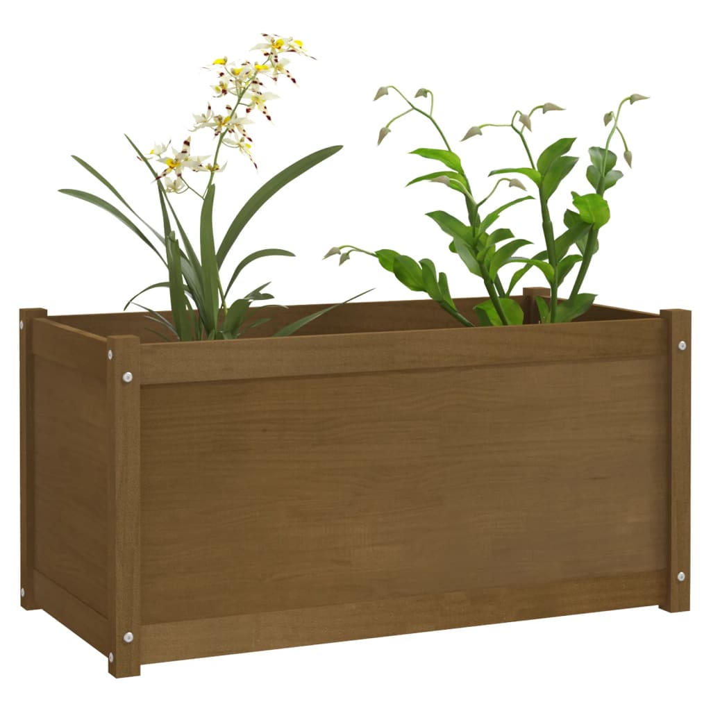 Garden Planters 2 pcs Honey Brown 100x50x50cm Solid Pinewood