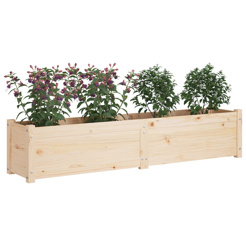 Garden Raised Bed 150x31x31 cm Solid Pinewood
