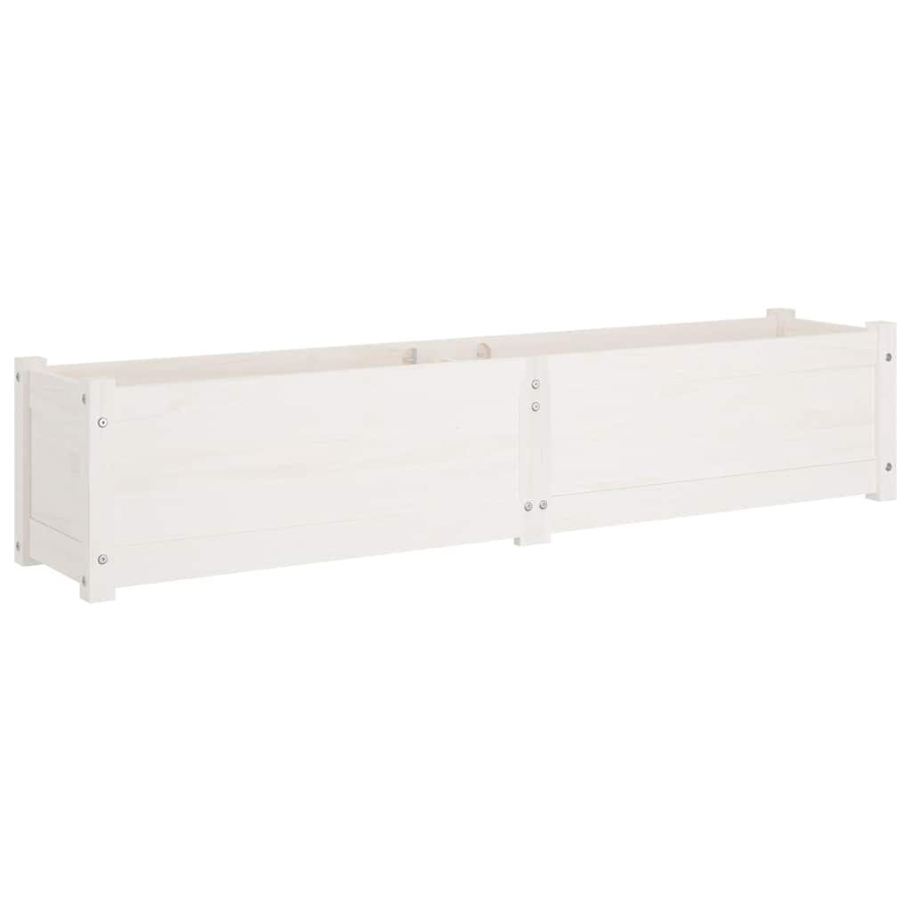 Garden Raised Bed White 150x31x31 cm Solid Pinewood