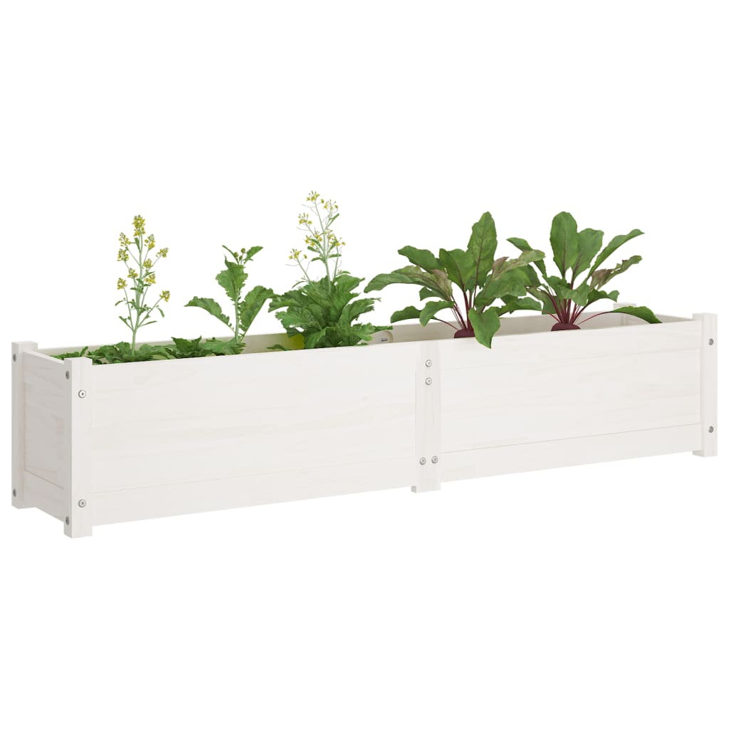 Garden Raised Beds 2 pcs White 150x31x31 cm Solid Pinewood