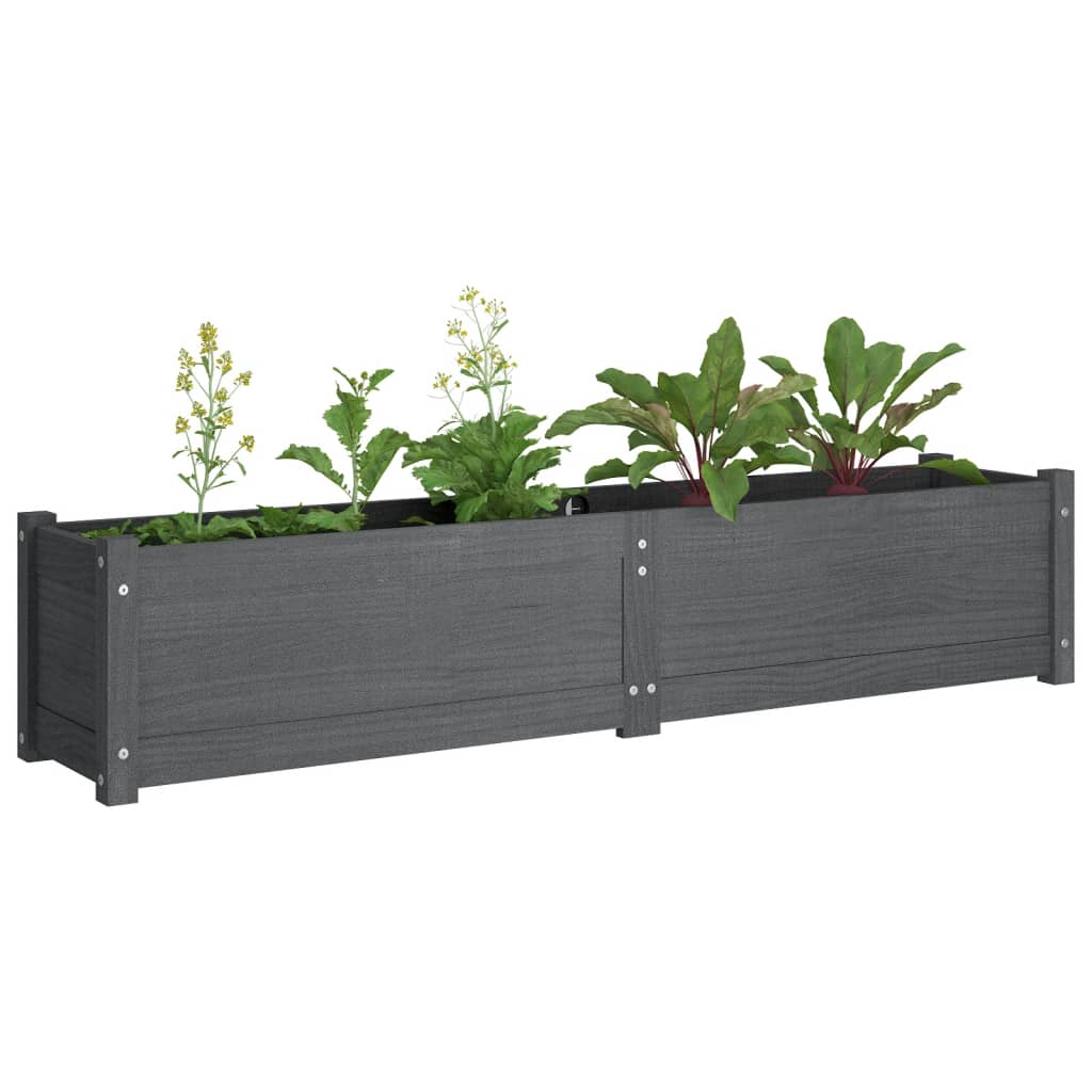 Garden Raised Beds 2 pcs Grey 150x31x31 cm Solid Pinewood