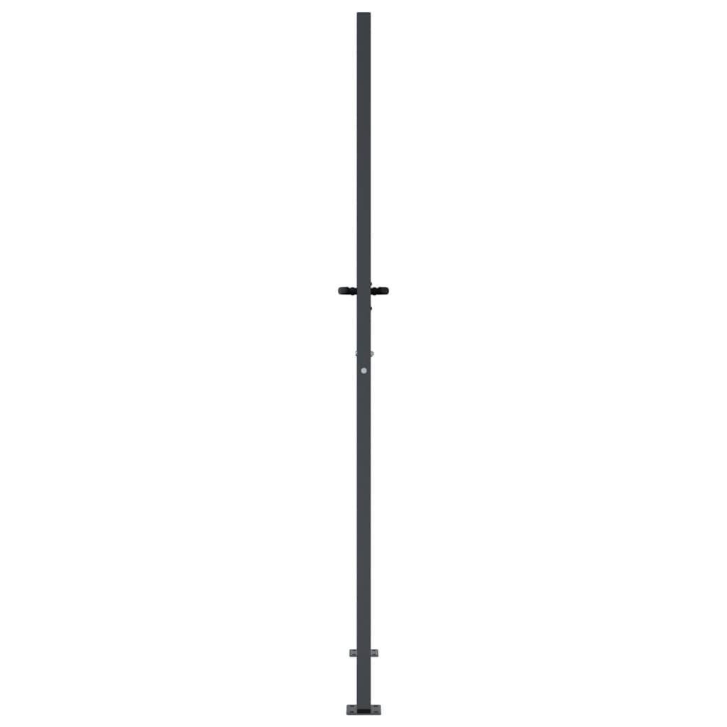 Garden Gate Anthracite 100x200 cm Steel Grass Design