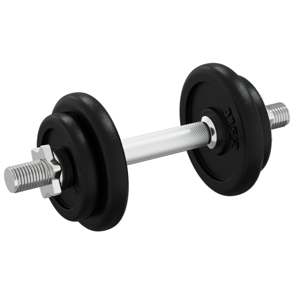 Dumbbell with Plates Set 40 kg Cast Iron and Chrome Plated Steel