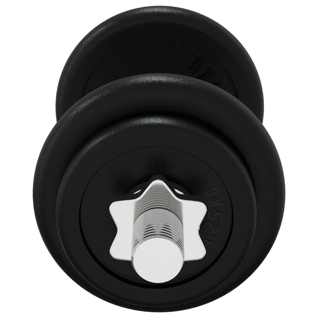 Dumbbell with Plates Set 40 kg Cast Iron and Chrome Plated Steel