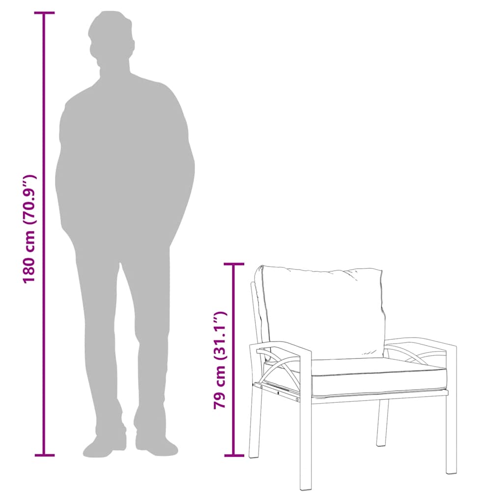 Garden Chairs with Grey Cushions 2 pcs 68x76x79 cm Steel