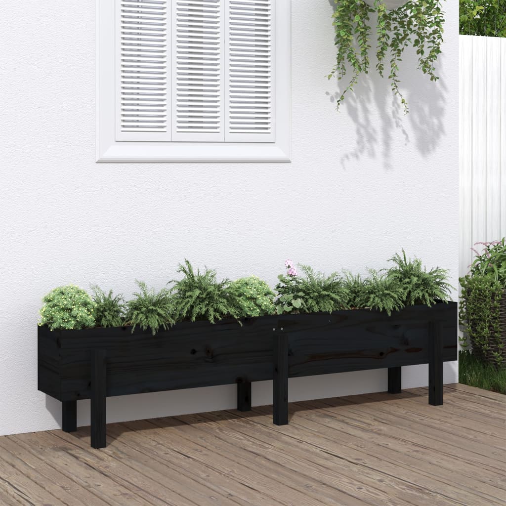 Garden Raised Bed Black 160x30x38 cm Solid Wood Pine