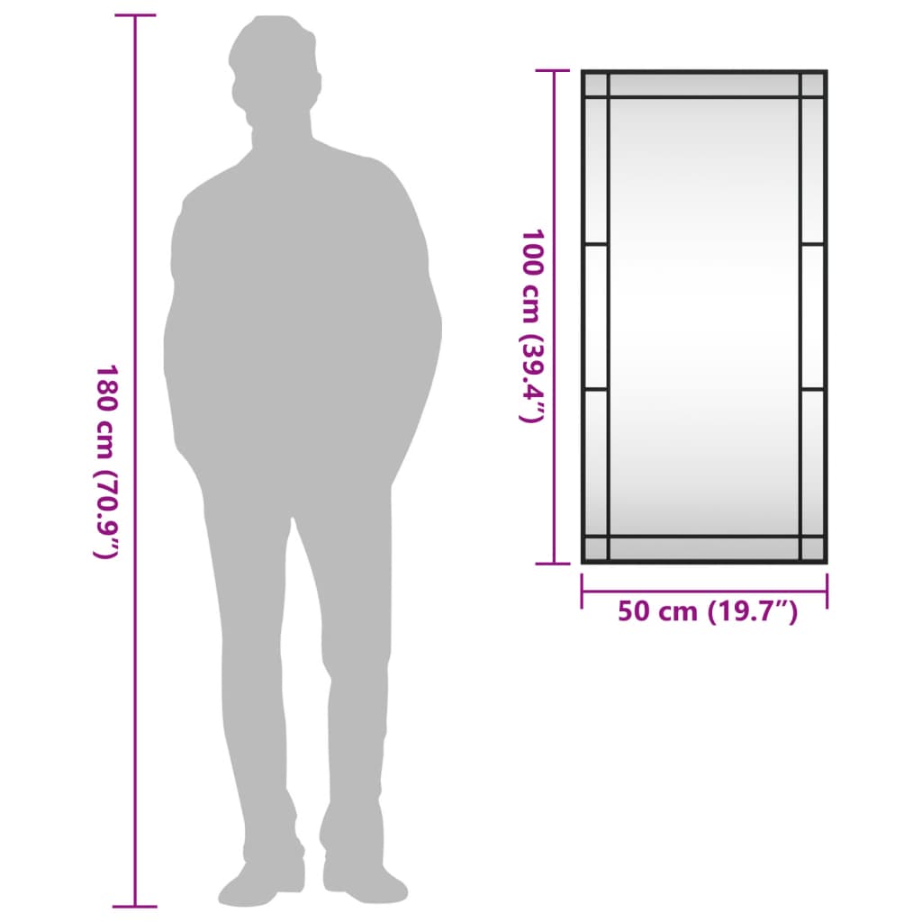 Wall Mirror Black 50x100 cm Rectangle Iron