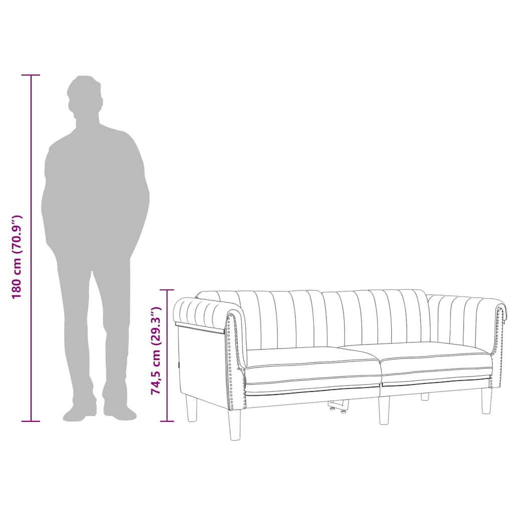 Sofa 2-Seater Dark Grey Velvet