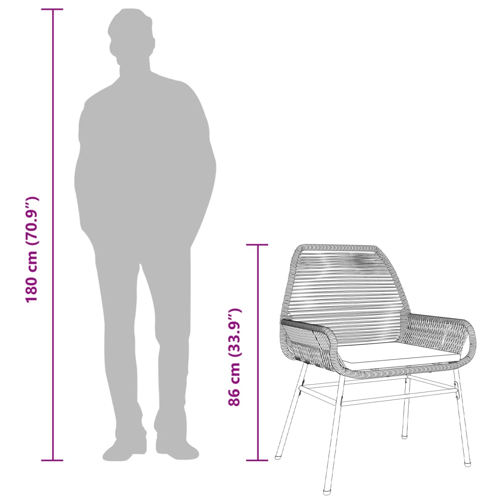 Garden Chairs 2 pcs with Cushions Black Poly Rattan