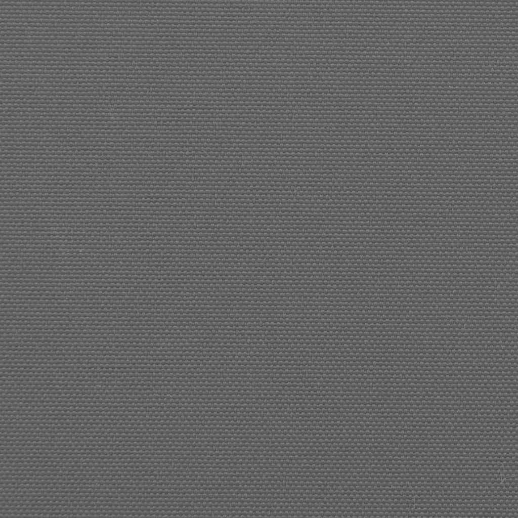 Retractable Side Awning Anthracite 180x300 cm