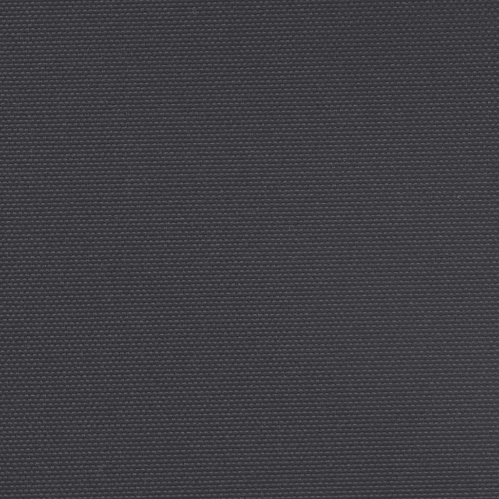 Retractable Side Awning Black 200x300 cm