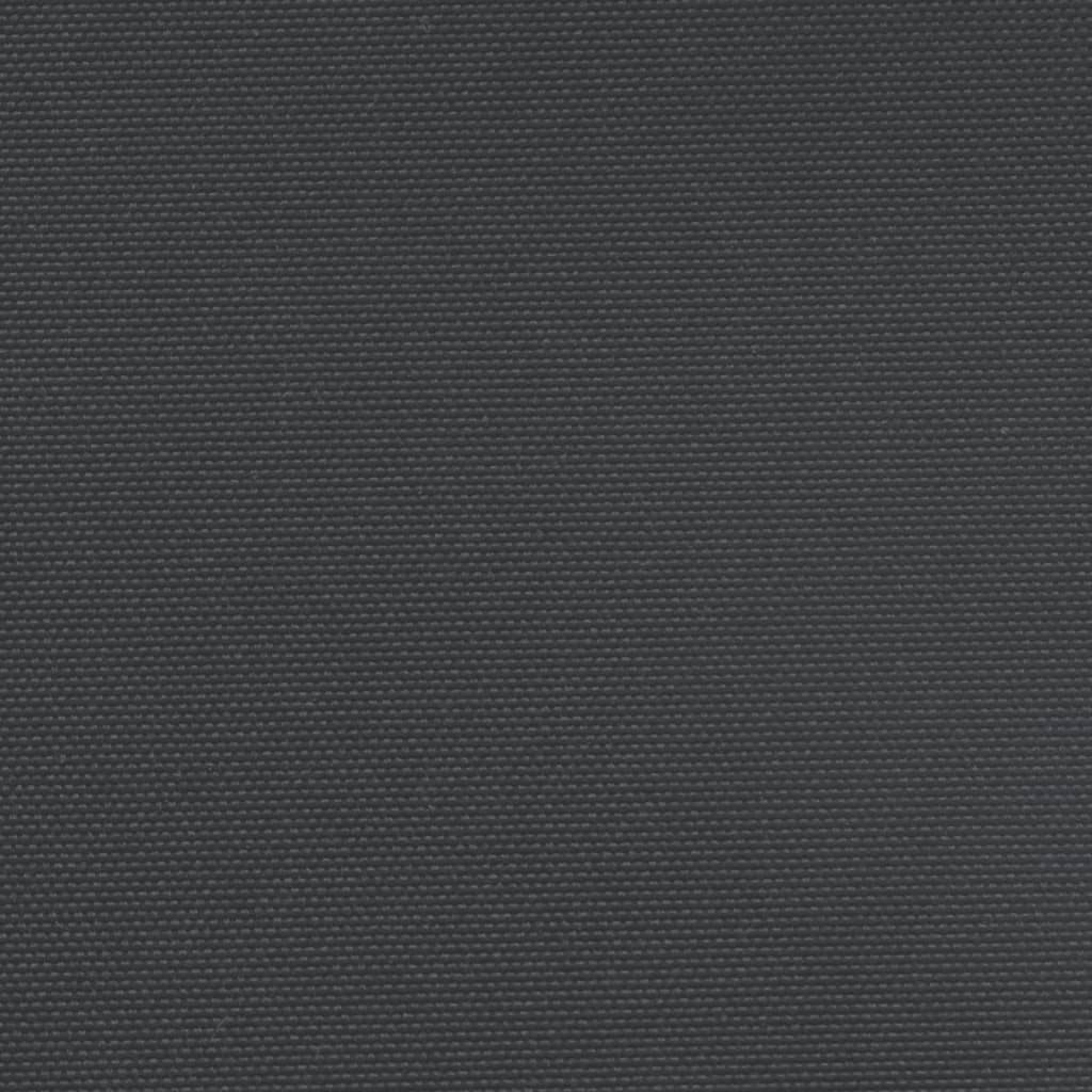 Retractable Side Awning Black 100x1000 cm