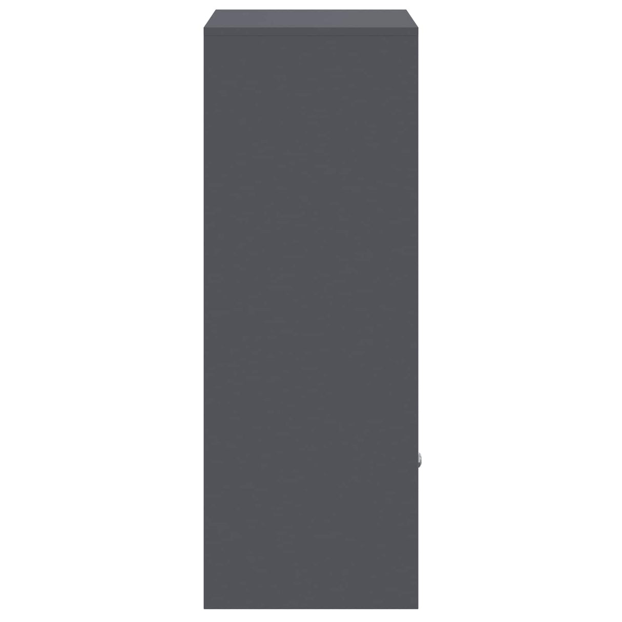 Parcel Drop Box with Storage Anthracite 41 x 38 x 103 cm Steel