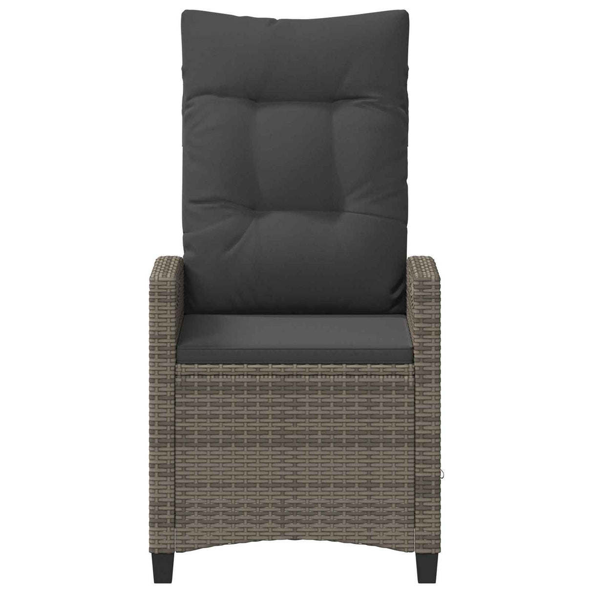 Garden Chair 2 pcs Grey and Dark Grey 56 x 60 x 112 cm