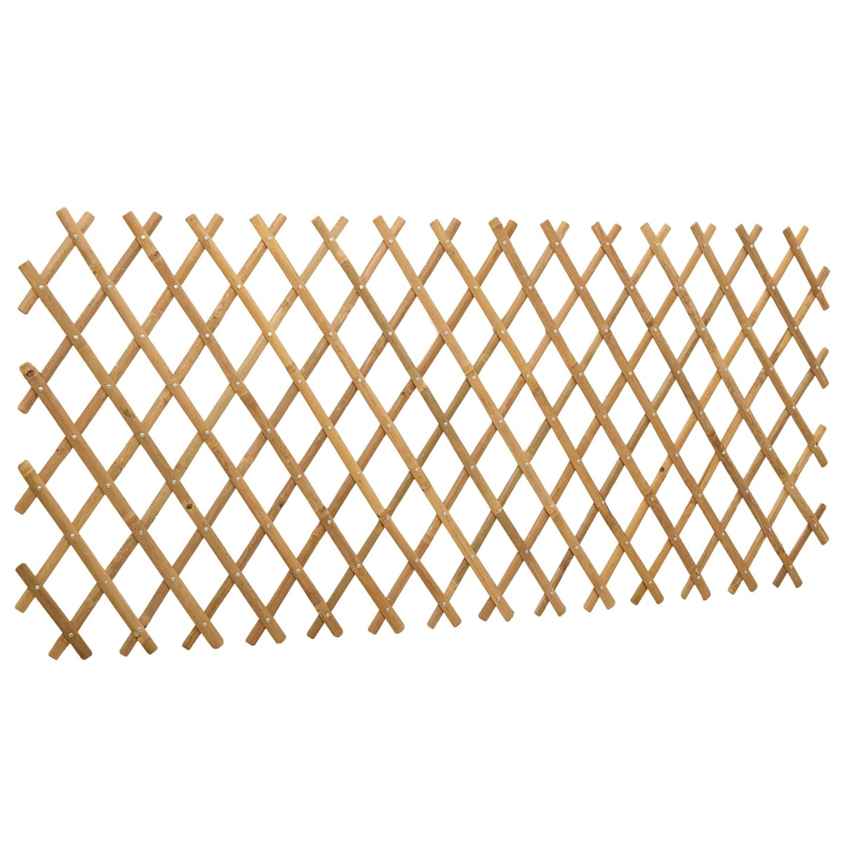 Expandable Trellis Fence 2 pcs Light Brown 100 x 105 cm Bamboo