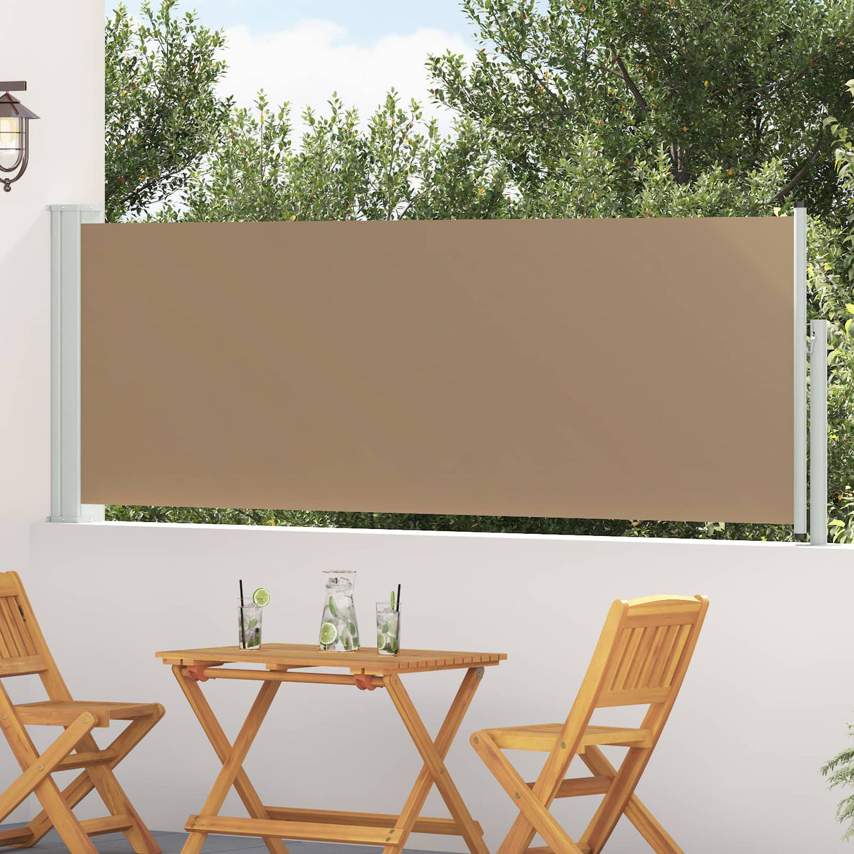 Retractable Side Awning 500 x 100 cm Polyester Rectangular