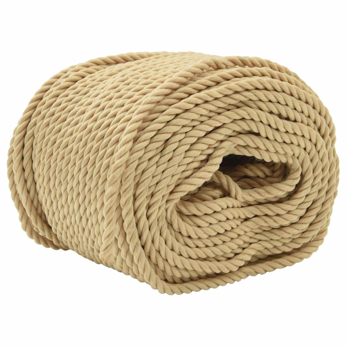 Boat Rope 100 m 0.6 Natural PP