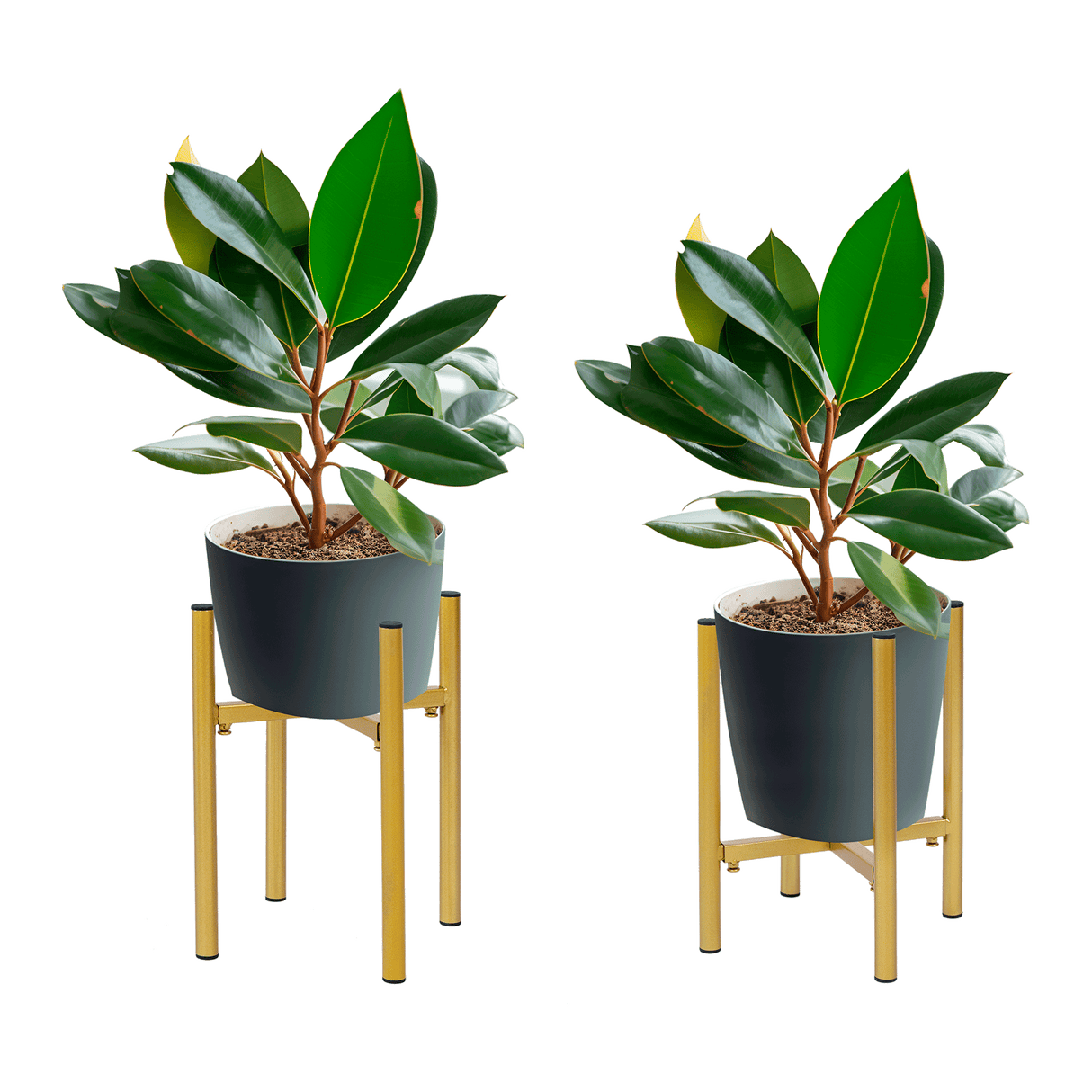 Metal Plant Stand Adjustable Indoor