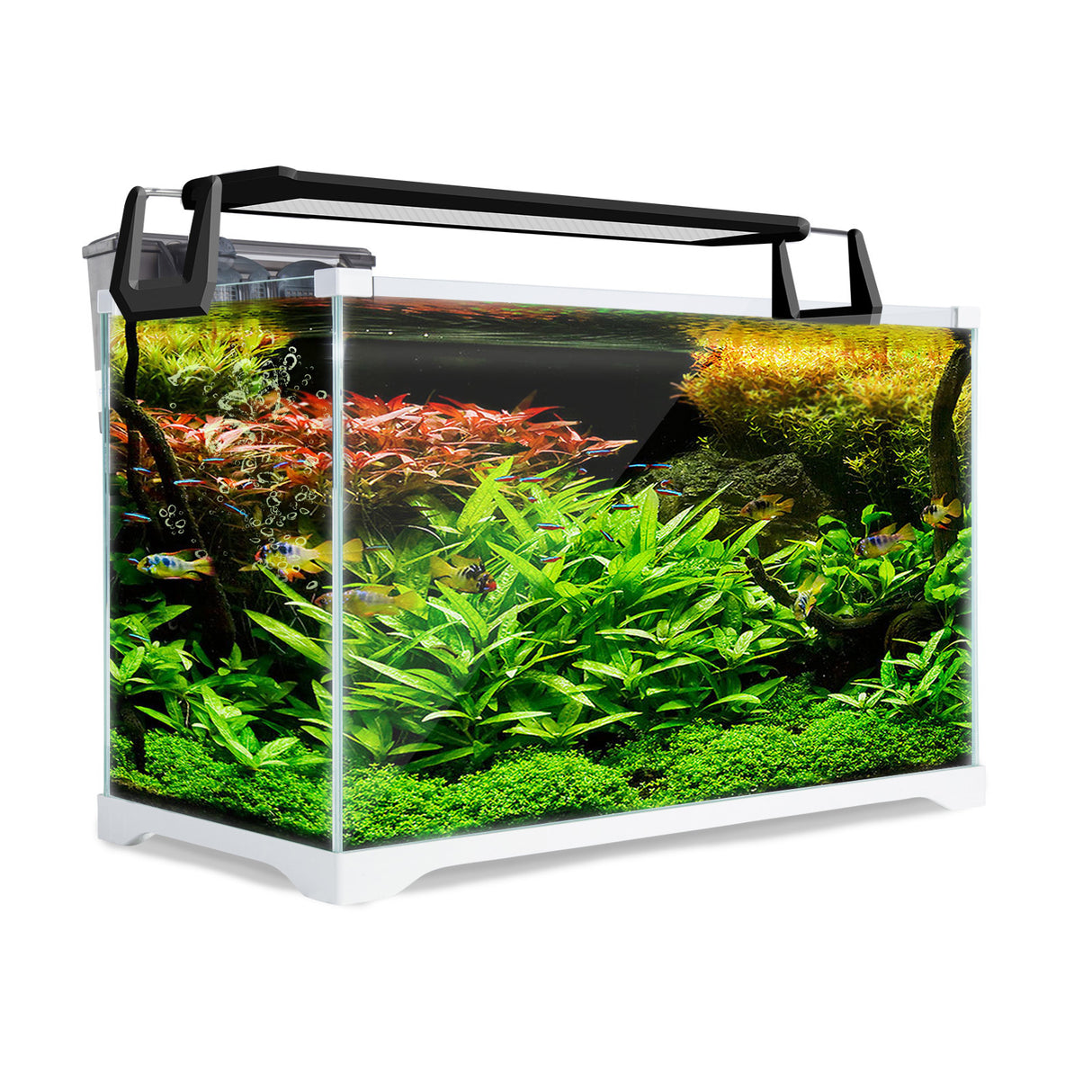 39L Starfire Glass Aquarium Fish Tank