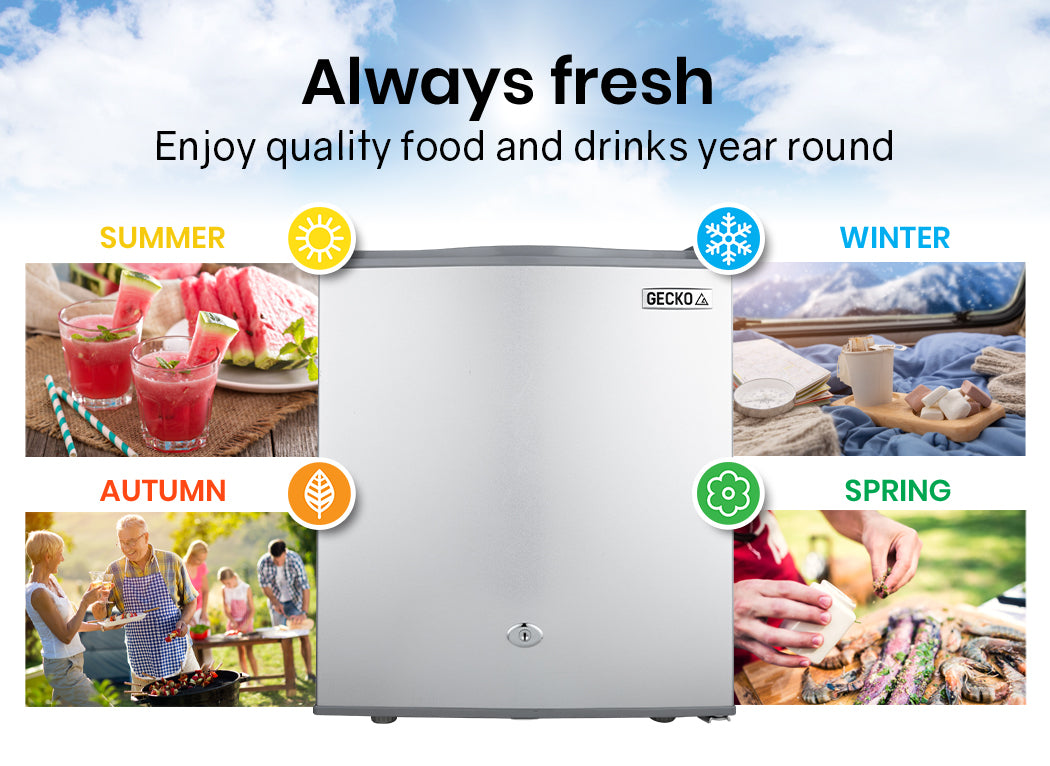 GECKO 57L Portable Camping Bar Fridge with Freezer 12V/24V, Silver