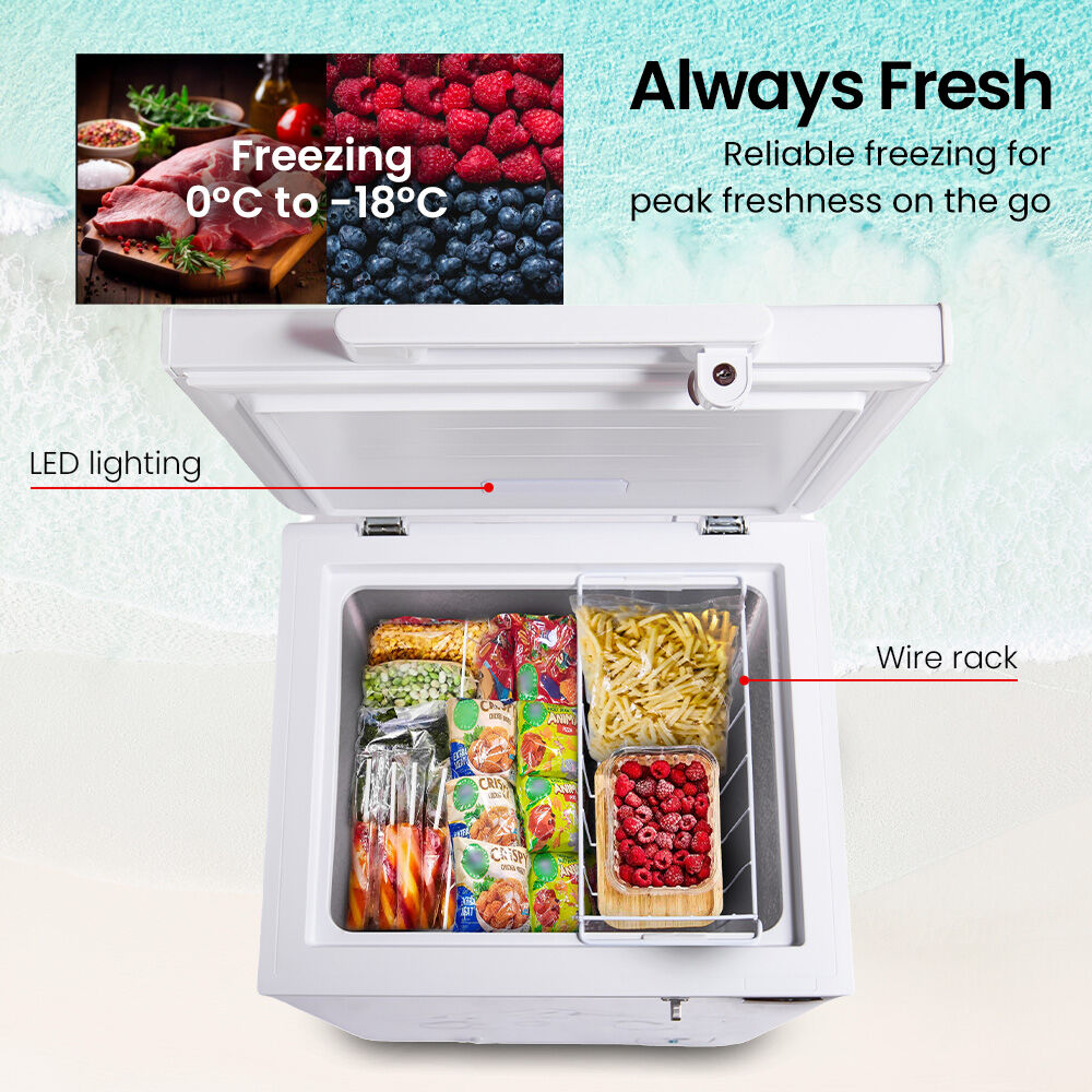 GECKO 100L Portable Chest Freezer, 12V/24V/240V for Motorhome and Caravan, White