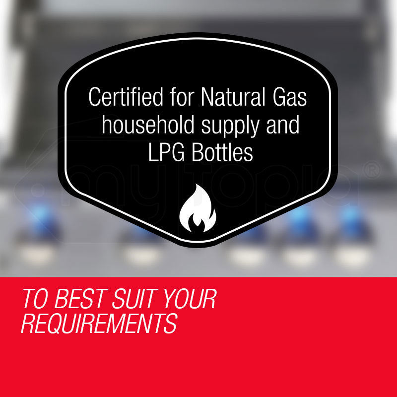 EuroGrille 5 Burner BBQ Outdoor Barbeque Grill Gas Stainless Steel Kitchen