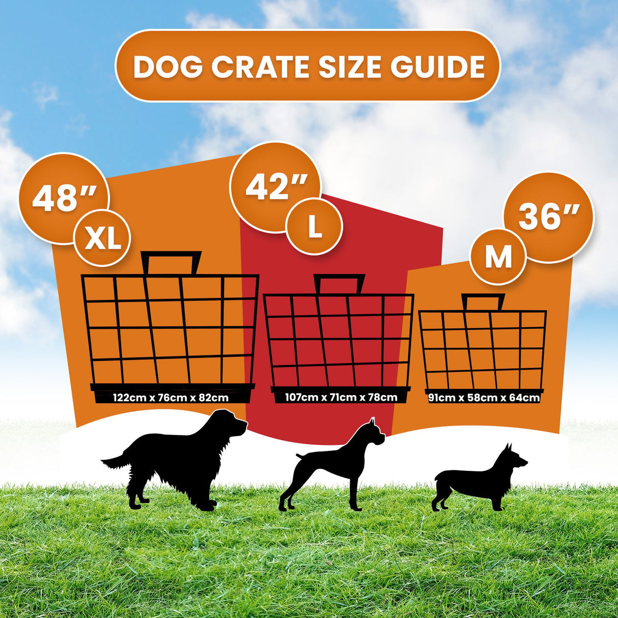 Royale 36in Foldable Pet Wire Dog Crate - Medium