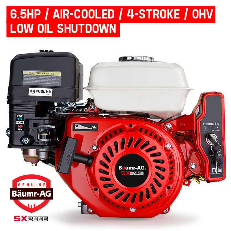 BAUMR-AG 6.5HP Petrol Engine Stationary Motor OHV Horizontal Shaft Electric Start Recoil