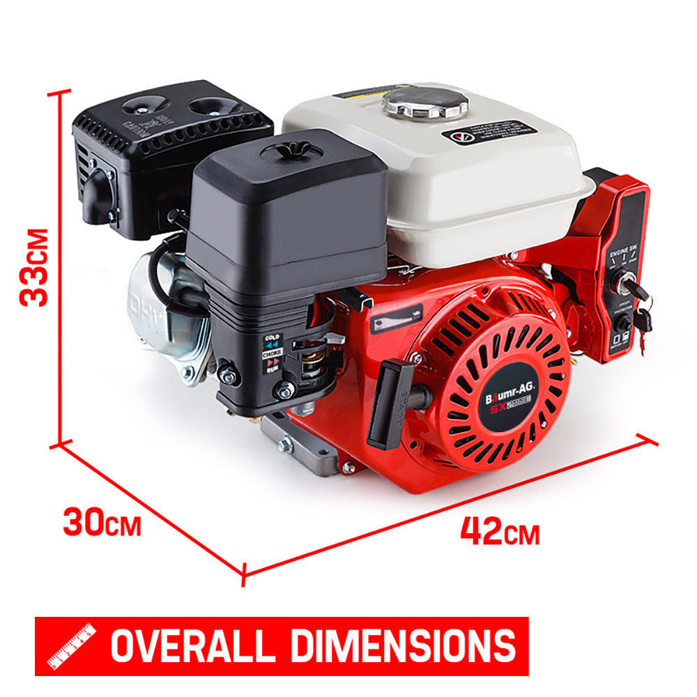 BAUMR-AG 6.5HP Petrol Engine Stationary Motor OHV Horizontal Shaft Electric Start Recoil